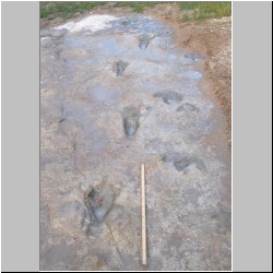 102_7507 (2013-08-19)m.JPG